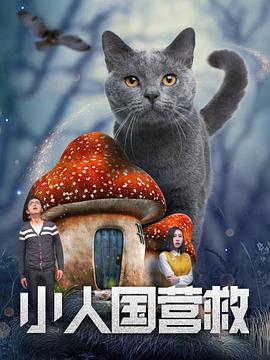 久久99操