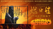 国产精品视频观看