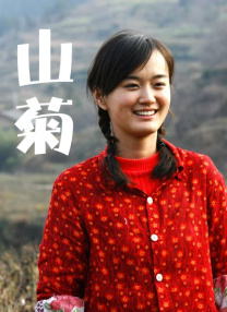 日本一区二区免费不卡